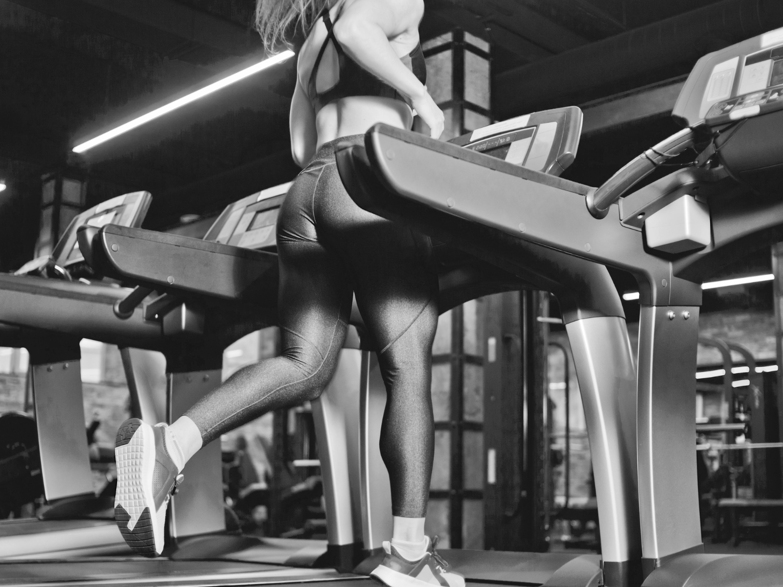 100% Sport
